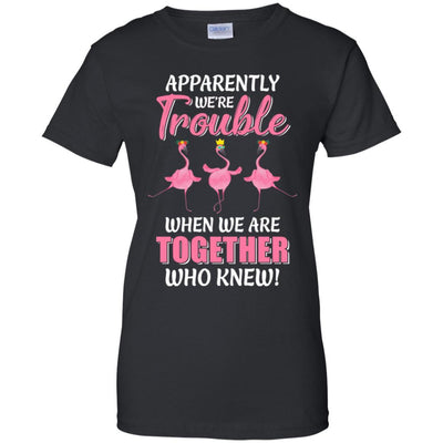Apparently We're Trouble When We Are Together Flamingo-T-Shirt & Hoodie-Women's T-Shirt-Black