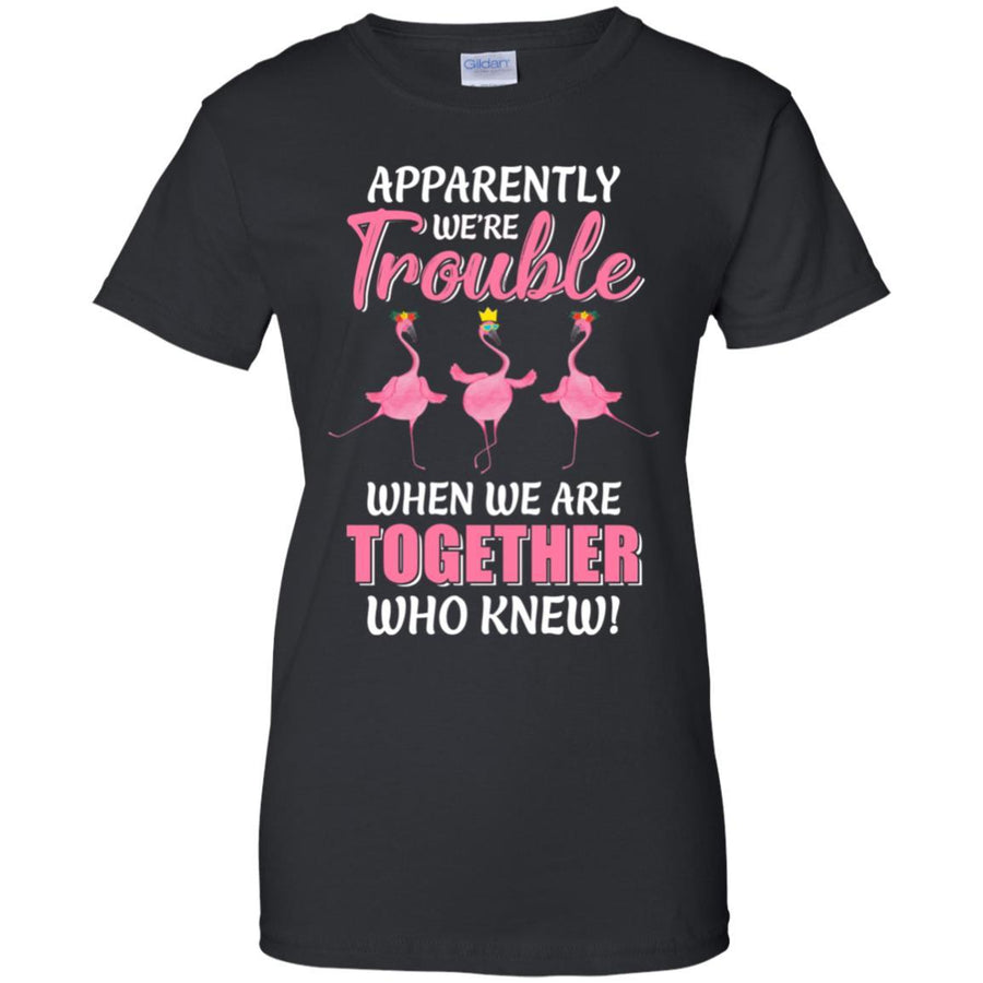 Apparently We're Trouble When We Are Together Flamingo-T-Shirt & Hoodie-Women's T-Shirt-Black