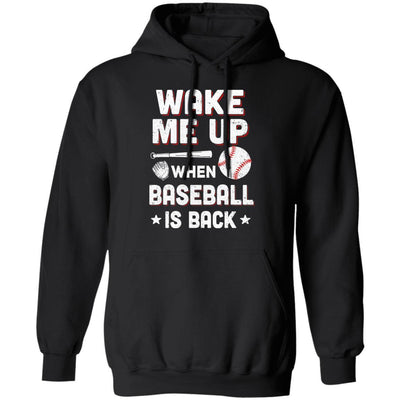 Wake Me Up When Baseball Is Back-T-Shirt & Hoodie-Pullover Hoodie-Black