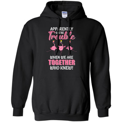 Apparently We're Trouble When We Are Together Flamingo-T-Shirt & Hoodie-Pullover Hoodie-Black
