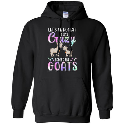 Let's Be Honest I Was Crazy Before The Goats-T-Shirt & Tank Top-Pullover Hoodie-Black