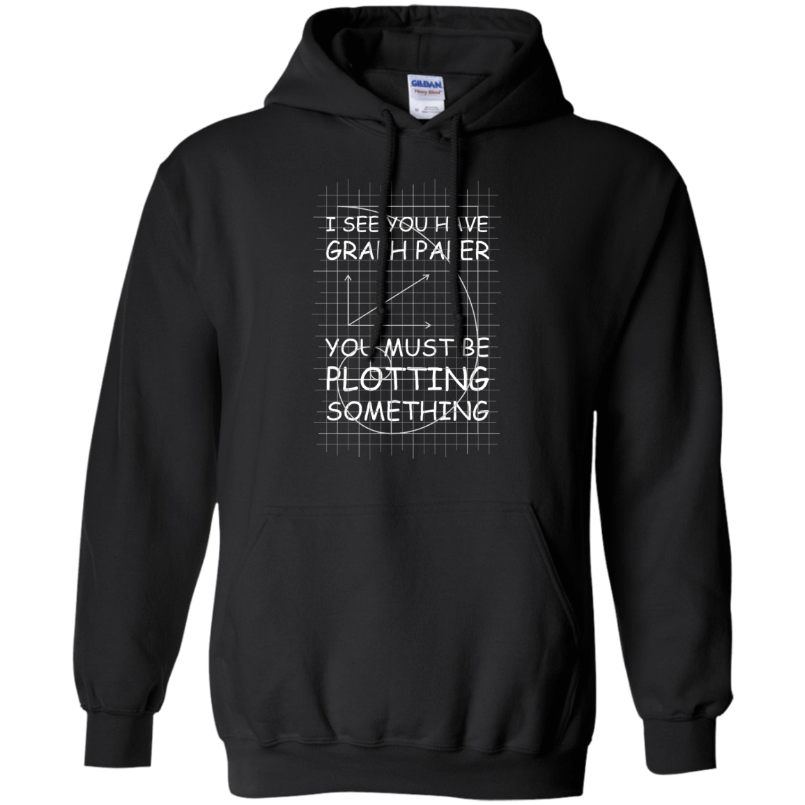 I See You Have Graph Paper-T-Shirt & Hoodie-Pullover Hoodie-Black
