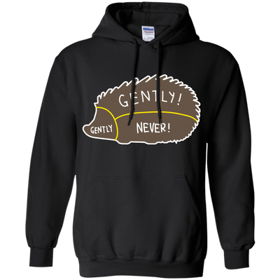 Proper way to pet a Hedgehog lover-T-Shirt & Hoodie-Pullover Hoodie-Black