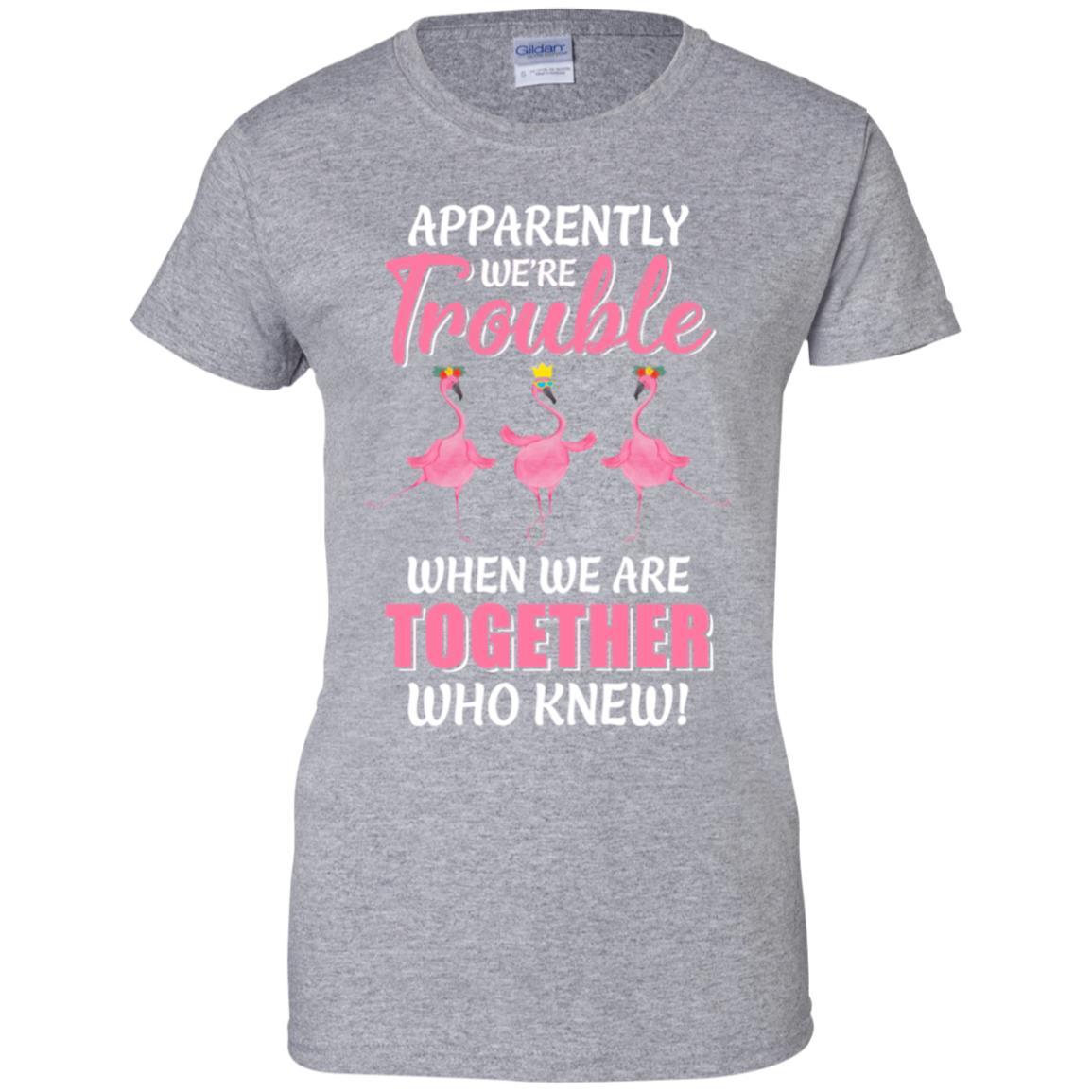 Apparently We're Trouble When We Are Together Flamingo-T-Shirt & Hoodie-Women's T-Shirt-Sport Grey