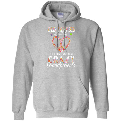 Old Hippies Don't Die They Fade Into Grandparents-T-Shirt & Hoodie-Pullover Hoodie-Sport Grey