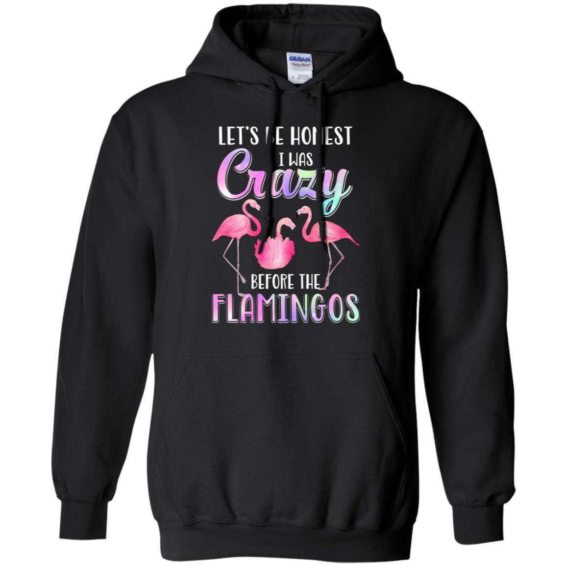 Let's Be Honest I Was Crazy Before The Flamingos-T-Shirt & Tank Top-Pullover Hoodie-Black
