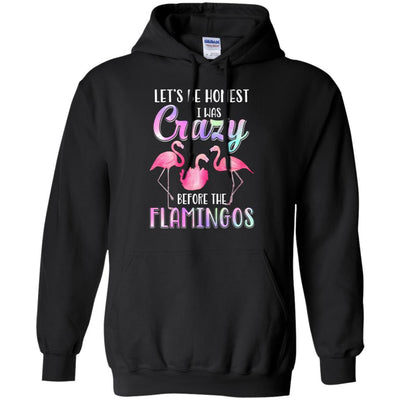Let's Be Honest I Was Crazy Before The Flamingos-T-Shirt & Tank Top-Pullover Hoodie-Black