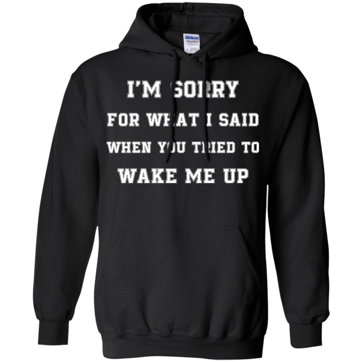 I'm Sorry For What I Said-T-Shirt & Hoodie-Pullover Hoodie-Black