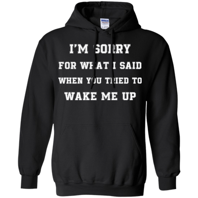 I'm Sorry For What I Said-T-Shirt & Hoodie-Pullover Hoodie-Black