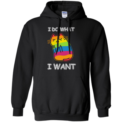 Rainbow Cat I Do What I Want-T-Shirt & Hoodie-Pullover Hoodie-Black