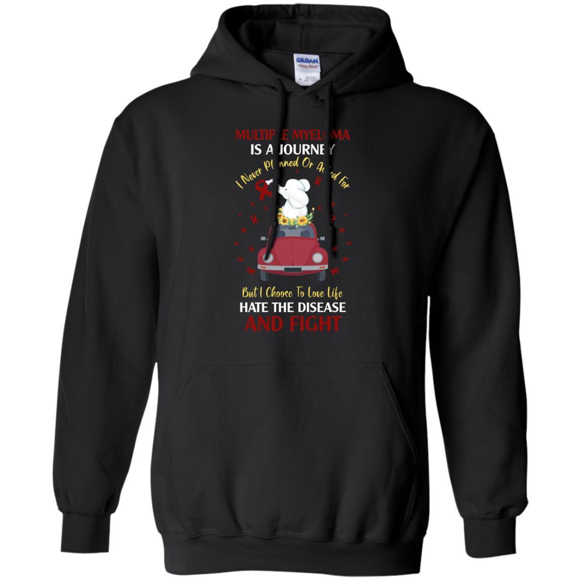Multiple Myeloma Awareness Is A Journey-T-Shirt & Hoodie-Pullover Hoodie-Black