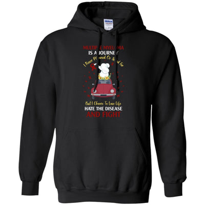 Multiple Myeloma Awareness Is A Journey-T-Shirt & Hoodie-Pullover Hoodie-Black
