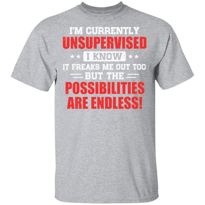 I Am Currently Unsupervised-T-Shirt & Hoodie-Classic T-Shirt-Sport Grey