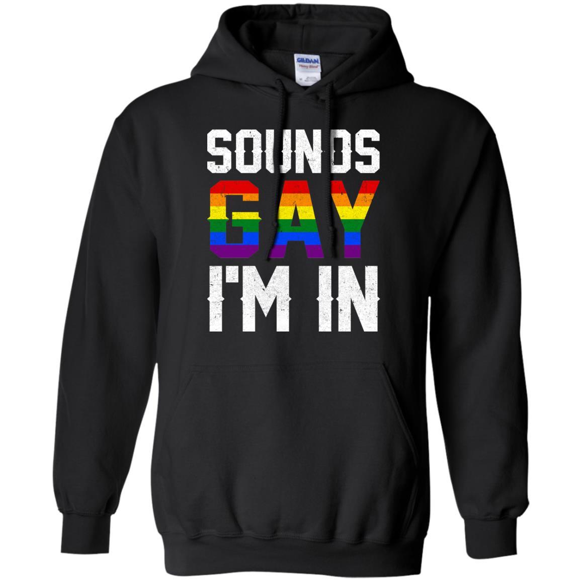 Sounds Gay I'm In Funny Rainbow Pride Month-T-Shirt & Hoodie-Pullover Hoodie-Black