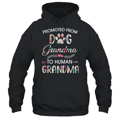 Promoted From Dog Grandma To Human Grandma Dog Lovers-T-Shirt & Tank Top-Pullover Hoodie-Black