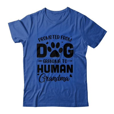 Promoted From Dog Grandma To Human Grandma Mother's Day-T-Shirt & Tank Top-Classic T-Shirt-Royal