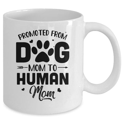Promoted From Dog Mom To Human Mom Mother's Day Mug-Coffee Mug-