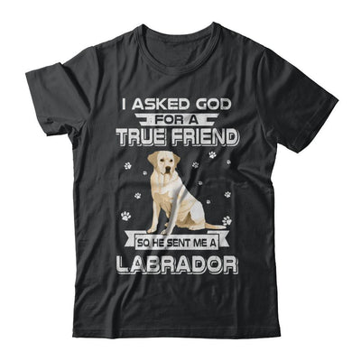 I Asked God For A True Friend So Sent Me Labrador Dog-T-Shirt & Hoodie-Classic T-Shirt-Black