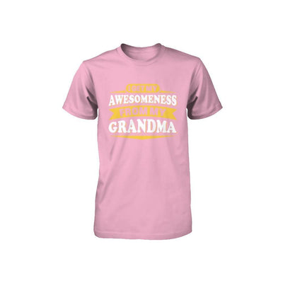 I Get My Awesomeness From My Grandma Youth-Youth Shirt-Toddler T-Shirt-Pink