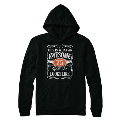Vintage This Is What An Awesome 75 Year Old 1946 Birthday-T-Shirt & Hoodie-Pullover Hoodie-Black
