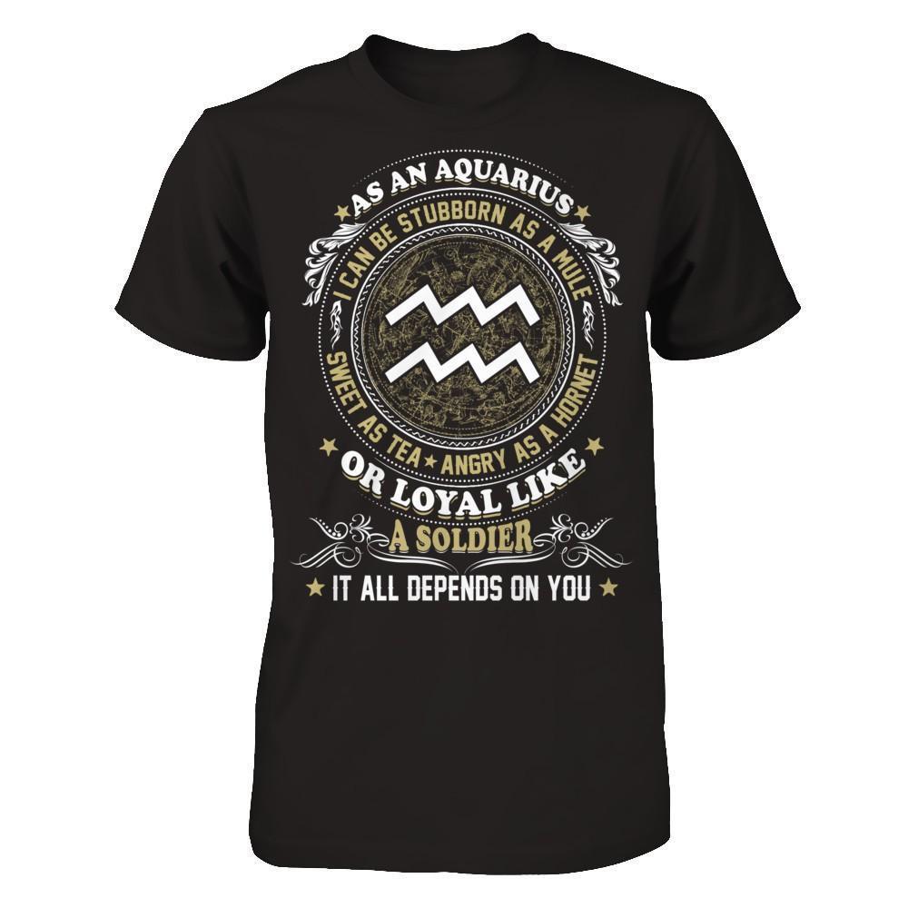 As An Aquarius I Can Be Stubborn As A Mule-T-Shirt & Hoodie-Premium T-Shirt-Black