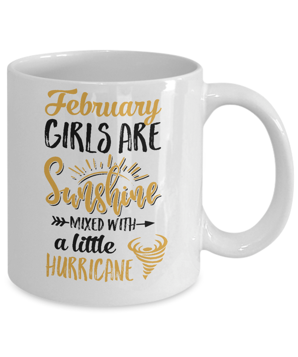 February Girls Sunshine Mixed With A Little Hurricane Birthday Mug-Coffee Mug-11oz Mug-White
