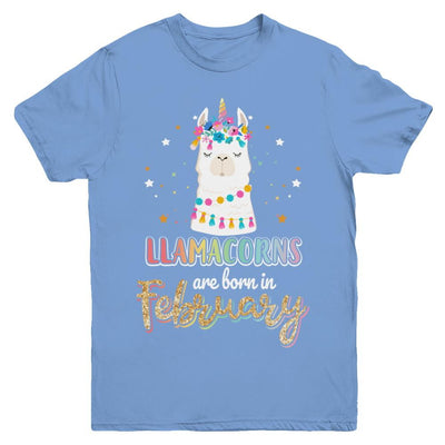 Llama Unicorn Llamacorns Born In February Birthday Gift Youth-Youth Shirt-Youth T-Shirt-Carolina Blue