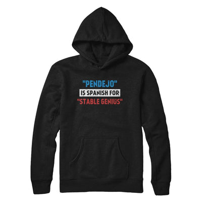 Pendejo Is Spanish For Stable Genius-T-Shirt & Hoodie-Pullover Hoodie-Black