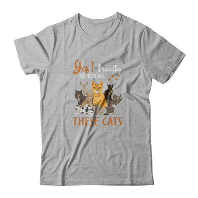 Yes I Really Do Need All These Cats-T-Shirt & Tank Top-Premium T-Shirt-Heather Gray