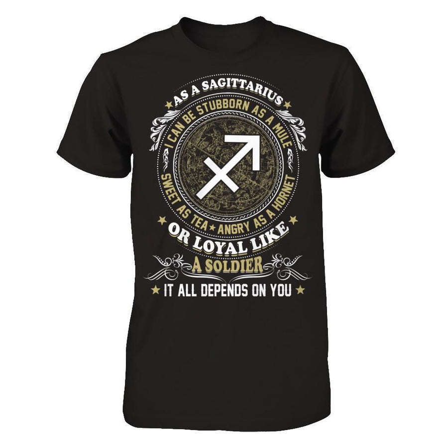 As A Sagittarius I Can Be Stubborn As A Mule-T-Shirt & Hoodie-Premium T-Shirt-Black