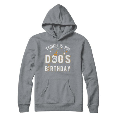 Today is My Dog's Birthday-T-Shirt & Hoodie-Pullover Hoodie-Light Steel