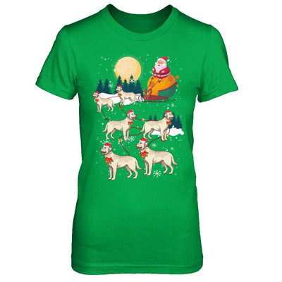 Dog Reindeer Labrador Christmas Gift-T-Shirt & Sweatshirt-Women's T-Shirt-Irish Green