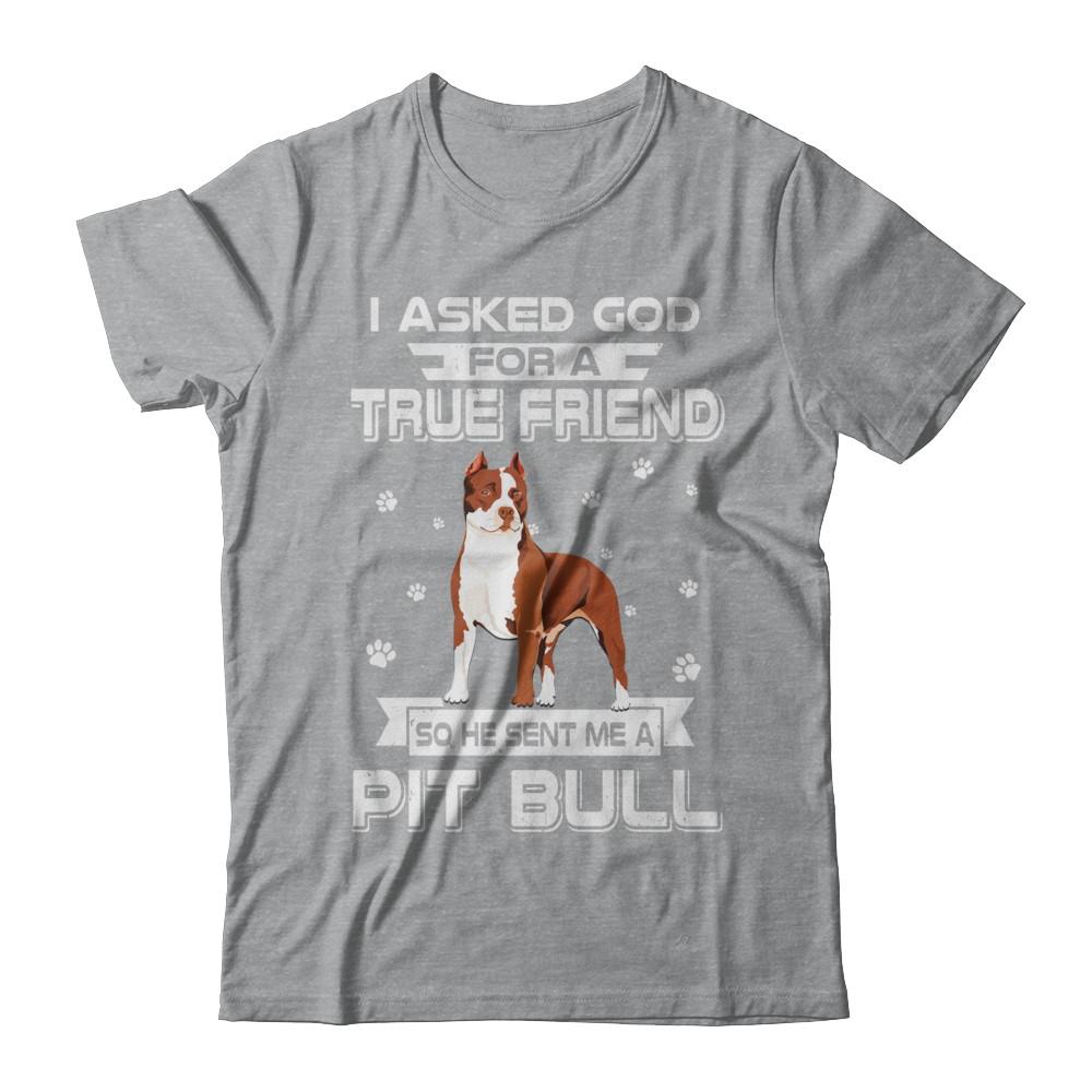 I Asked God For A True Friend So Sent Me Pitbull Dog-T-Shirt & Hoodie-Classic T-Shirt-Sport Grey