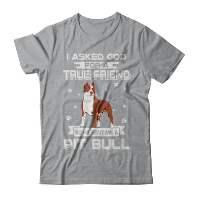 I Asked God For A True Friend So Sent Me Pitbull Dog-T-Shirt & Hoodie-Classic T-Shirt-Sport Grey