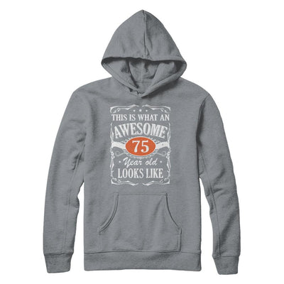 Vintage This Is What An Awesome 75 Year Old 1946 Birthday-T-Shirt & Hoodie-Pullover Hoodie-Light Steel