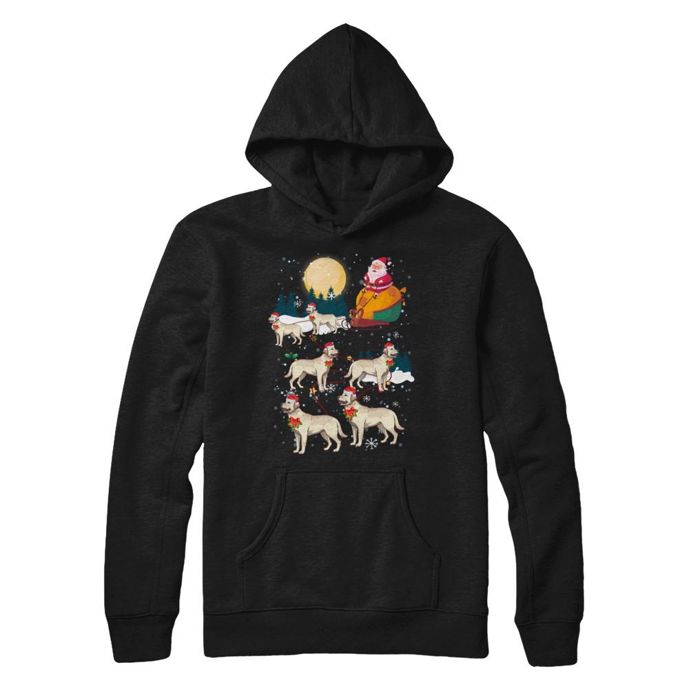 Dog Reindeer Labrador Christmas Gift-T-Shirt & Sweatshirt-Pullover Hoodie-Black
