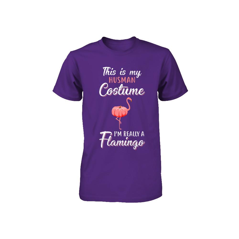 This Is My Human Costume I'm Really A Flamingo Halloween Youth-Youth Shirt-