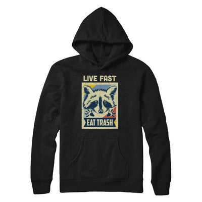 Live Fast Eat Trash Racoon Raccoons Vintage Camping-T-Shirt & Hoodie-Pullover Hoodie-Black