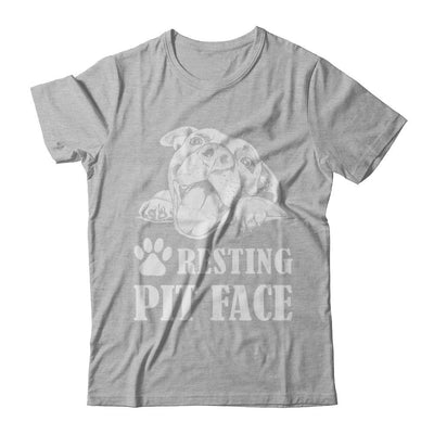Resting Pit Face-T-Shirt & Hoodie-Premium T-Shirt-Heather Gray
