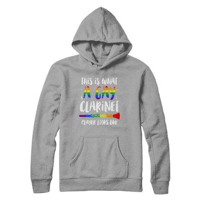 This Is What A Gay Clarinet Player Looks Like LGBT-T-Shirt & Hoodie-Pullover Hoodie-Light Steel