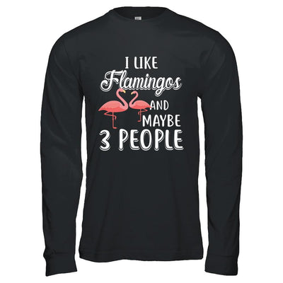 I Like Flamingos And Maybe 3 People-T-Shirt & Hoodie-Long Sleeve T-Shirt-Black
