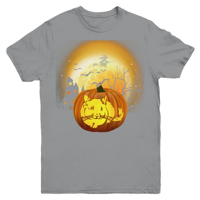 Pumpkin Chinchilla Halloween Human Costume Youth-Youth Shirt-Youth T-Shirt-Sport Grey