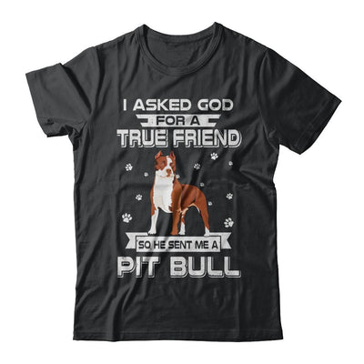 I Asked God For A True Friend So Sent Me Pitbull Dog-T-Shirt & Hoodie-Classic T-Shirt-Black