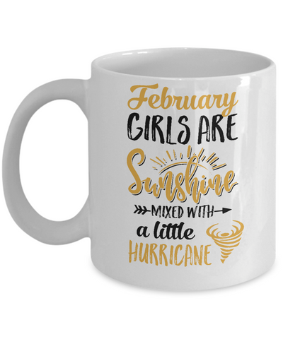 February Girls Sunshine Mixed With A Little Hurricane Birthday Mug-Coffee Mug-11oz Mug-White